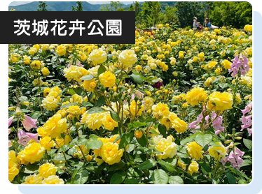 茨城花卉公園