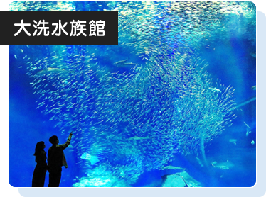 大洗水族館