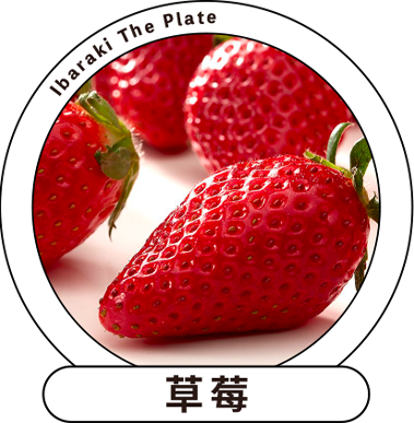 茨城草莓