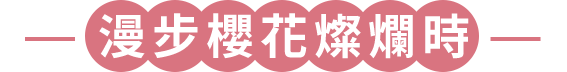漫步櫻花燦爛時