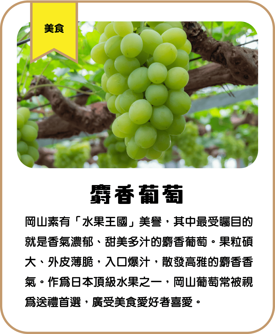 麝香葡萄