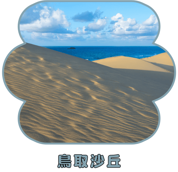鳥取沙丘