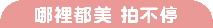 哪裡都美 拍不停