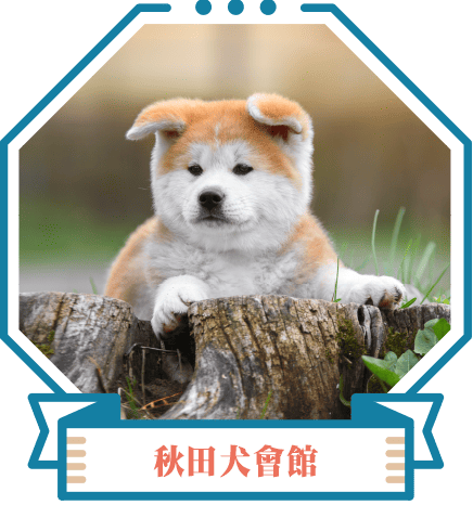 秋田犬會館