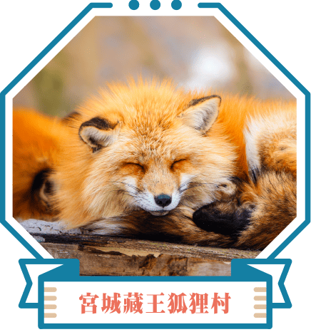 宮城藏王狐狸村