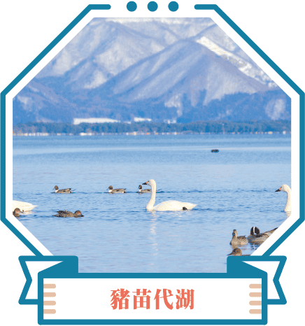 豬苗代湖
