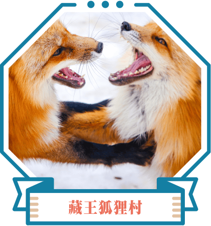 藏王狐狸村