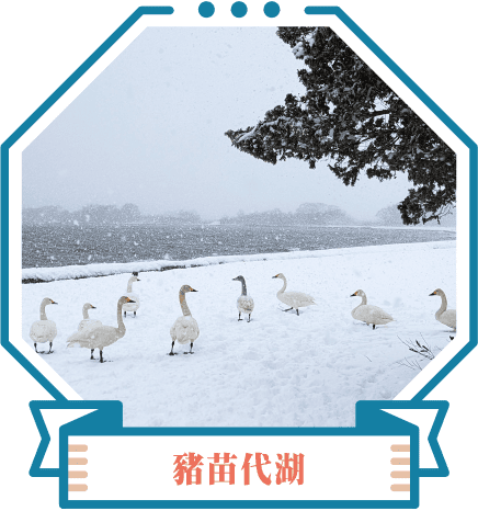 豬苗代湖