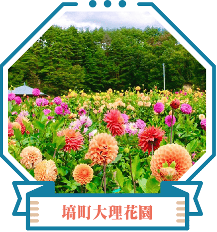 塙町大理花園