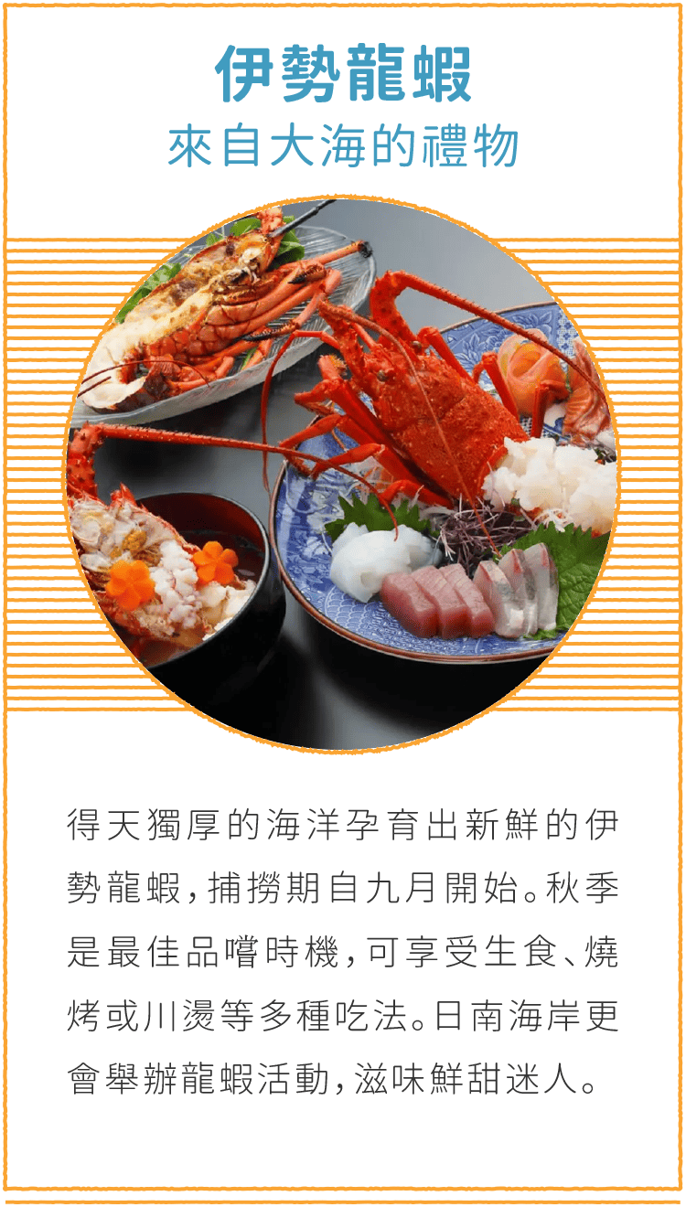 伊勢龍蝦 來自大海的禮物