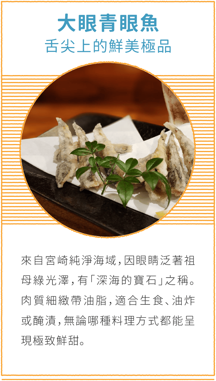 大眼青眼魚 舌尖上的鮮美極品