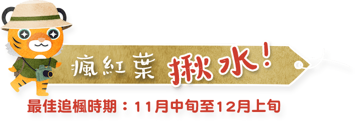 瘋紅葉 揪水!