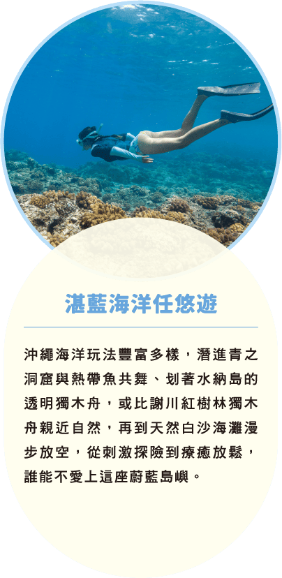 湛藍海洋任悠遊