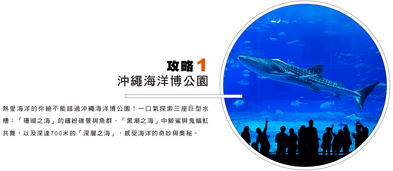 攻略1 沖繩海洋博公園