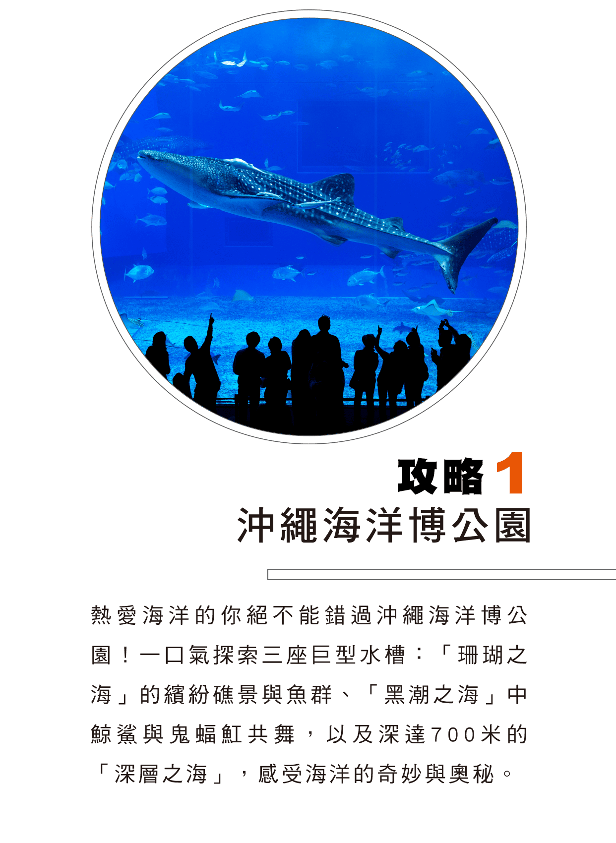 攻略1 沖繩海洋博公園
