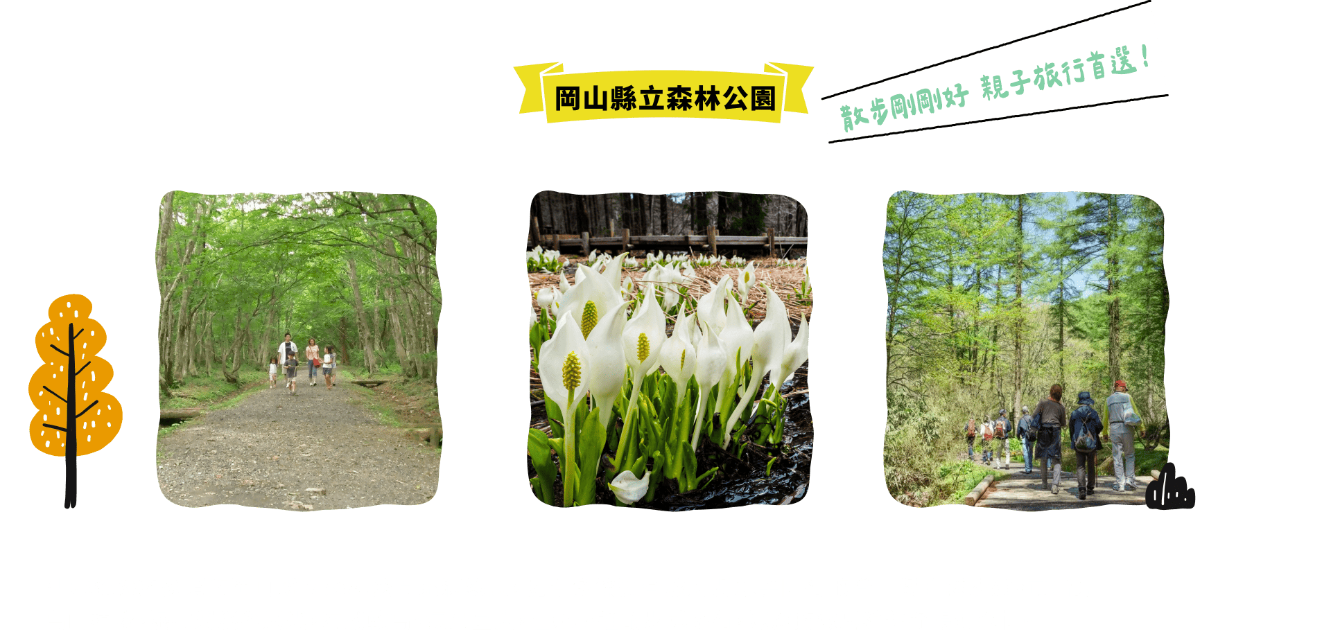 岡山縣立森林公園