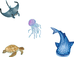 海洋動物