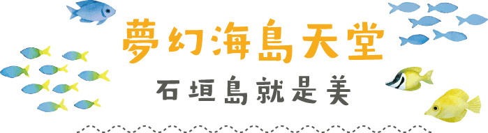 夢幻海島天堂