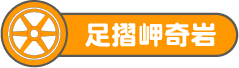 足摺岬奇岩
