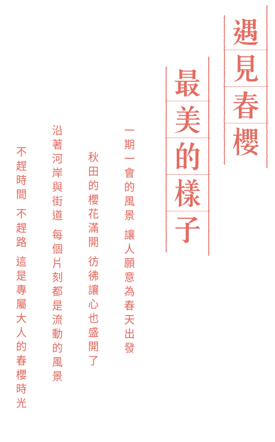 遇見春櫻最美的樣子
