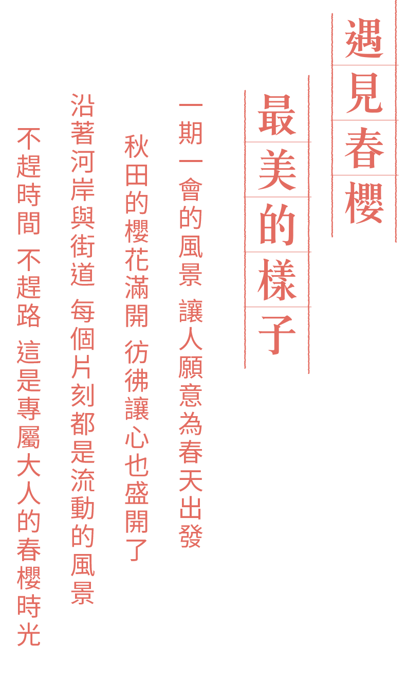 遇見春櫻最美的樣子