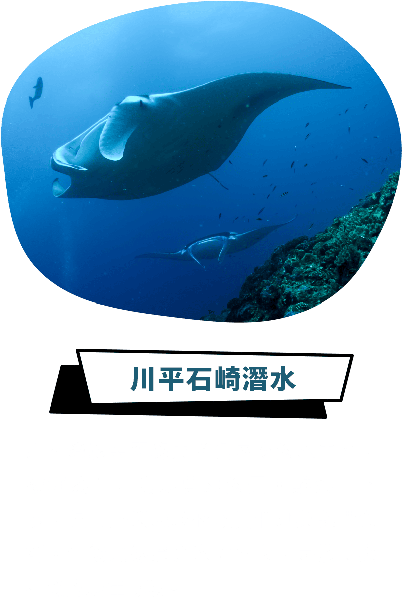 川平石崎潛水