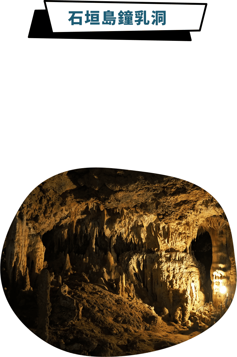 石垣島鐘乳洞