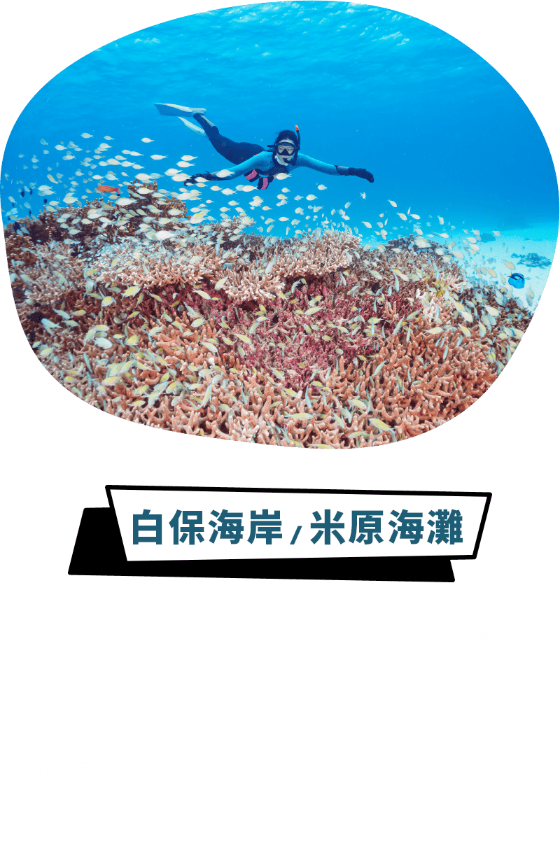 白保海岸/米原海灘
