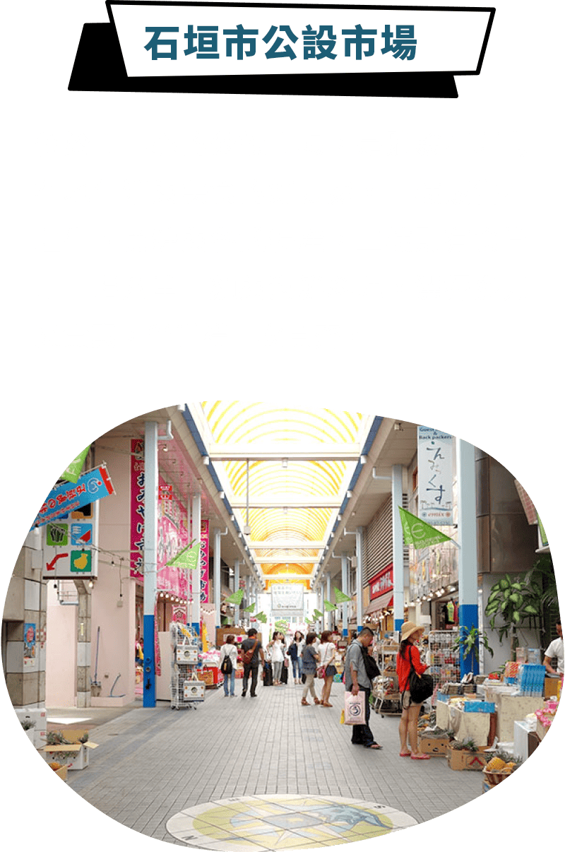 石垣市公設市場