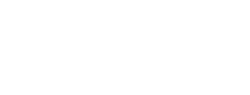 FOCUS 13