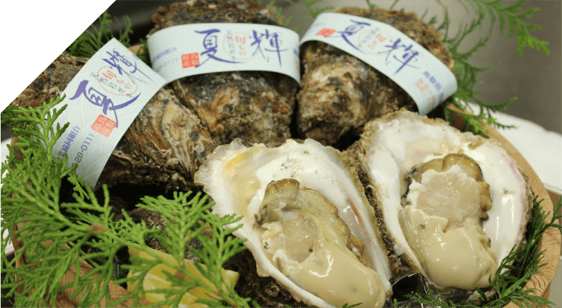 岩牡蠣「夏輝」
