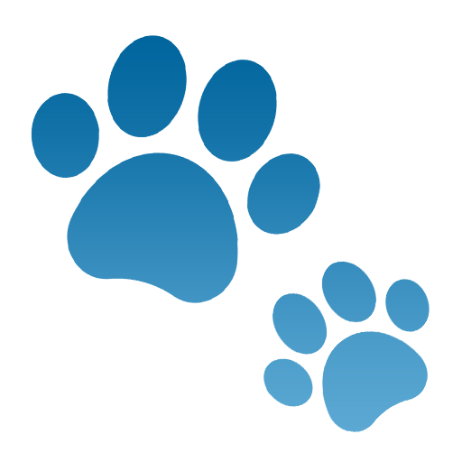 Pet Running